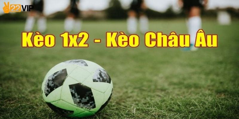 Biểu đồ phân tích xác suất thắng thua các trận đấu 