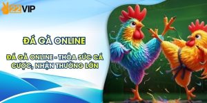 Đá Gà Online 22VIP - Thỏa Sức Cá Cược, Nhận Thưởng Lớn