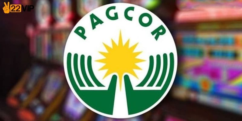 Phân loại giấy phép theo khu vực